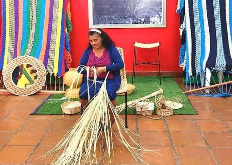 Tejiendo tradiciones: Celebran Encuentro Vivencial entre Artesanos de Hamacas y Fibras Naturales
