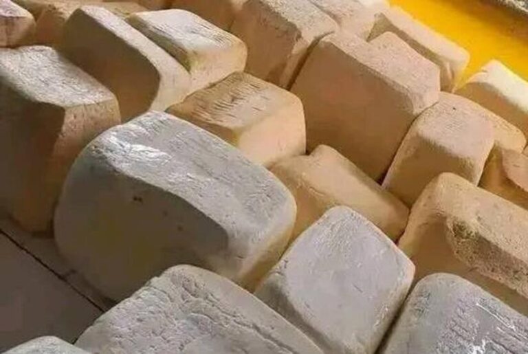 De enero a febrero Nicaragua registró producción de 21.1 millones de libras de queso