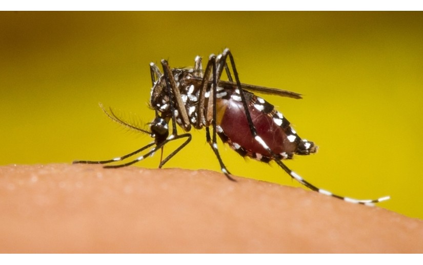 situación epidemiológica en Nicaragua