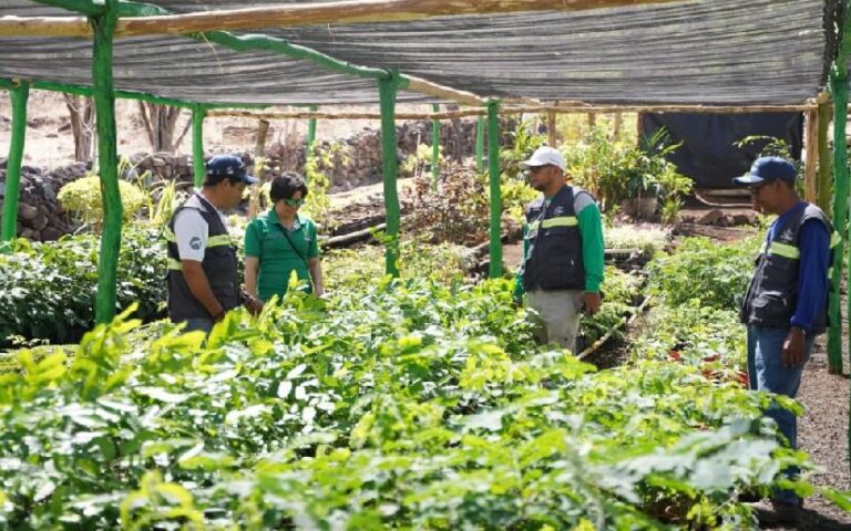 Vivero “Oro Verde”, garantiza reforestación y restauración de los bosques