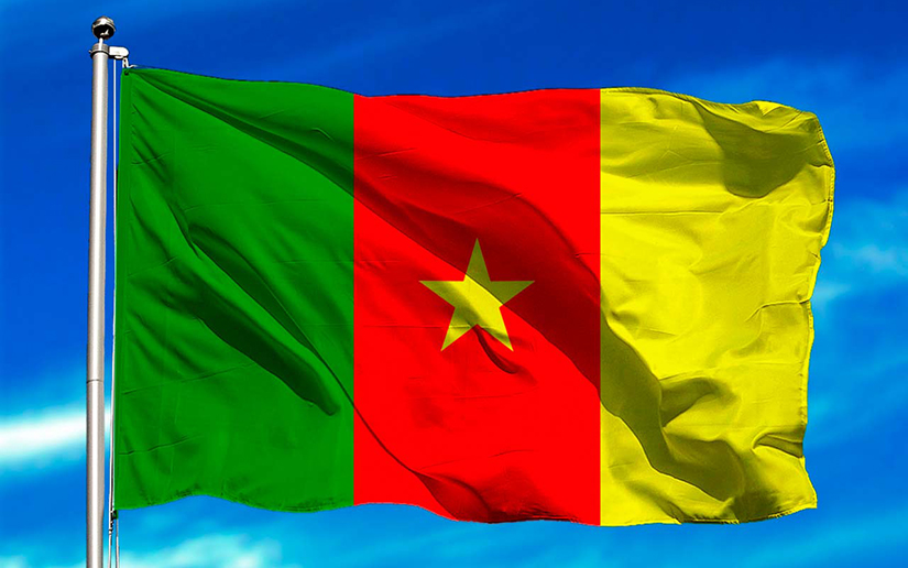 Camerún conmemora el histórico Referéndum Constitucional