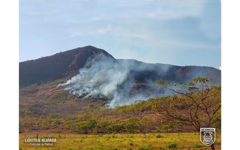 Defensa Civil sofoca incendio forestal y agropecuario en la comunidad Hato Grande