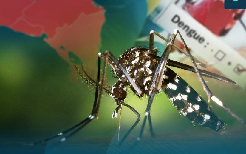 Disminución de dengue y leptospirosis en Nicaragua