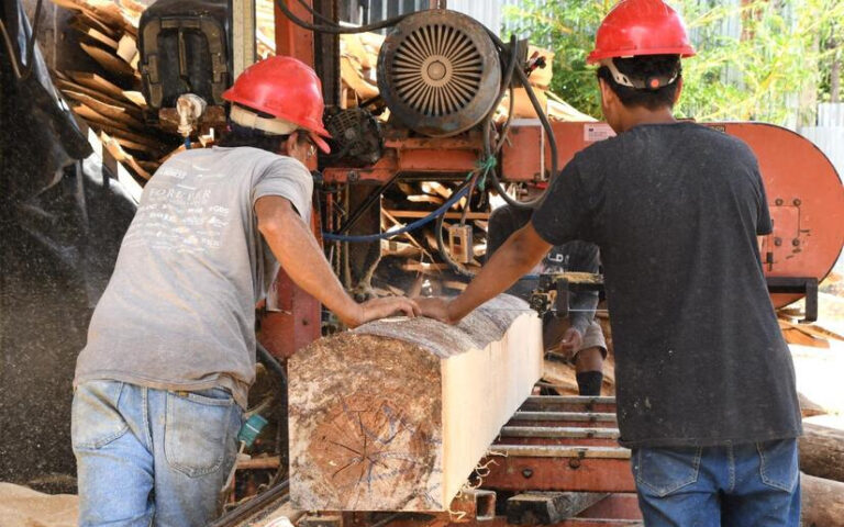 Industria San Carlos en Ciudad Darío: Un emprendimiento del sector forestal enfocado en el cuido a la naturaleza