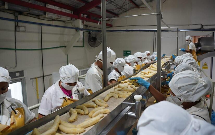 Empresa exportadora de frutas tropicales en Carazo