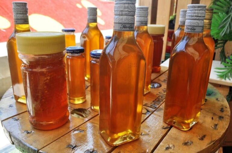 Familias apicultoras registran una producción de 843 toneladas de miel en el primer trimestre 2025