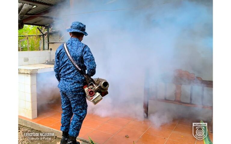 Primer Batallón de Tropas Navales participa en jornada de fumigación y abatización