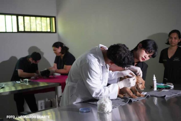 Hospital Veterinario atiende diariamente a 100 mascotas