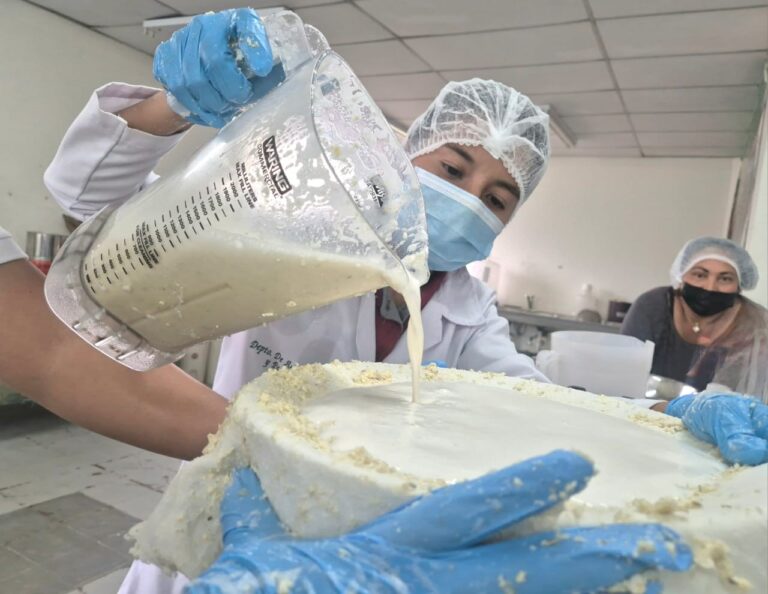 INTA promueve transformación y valor agregado de la soya en encuentro con productores