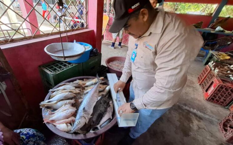 Inpesca fortalece la actividad pesquera en la Costa Caribe Norte