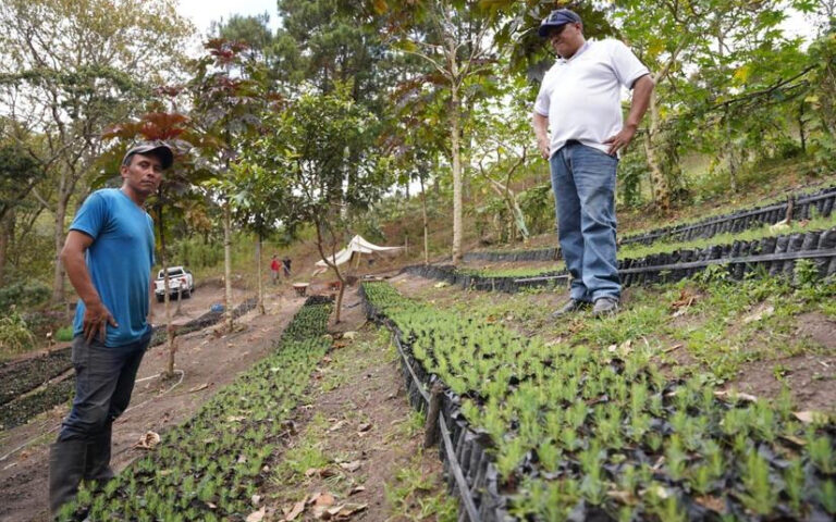 Condega: Vivero Venecia recibe visita de presencia directa del Marena