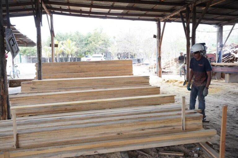 Marena realiza visita de presencia directa en aserrío Los Pinares en Estelí