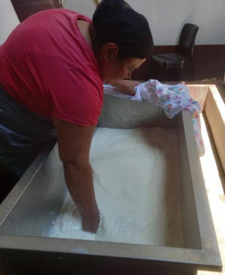 Producción de leche en Nicaragua supera los 45 millones de galones en el primer trimestre de 2025