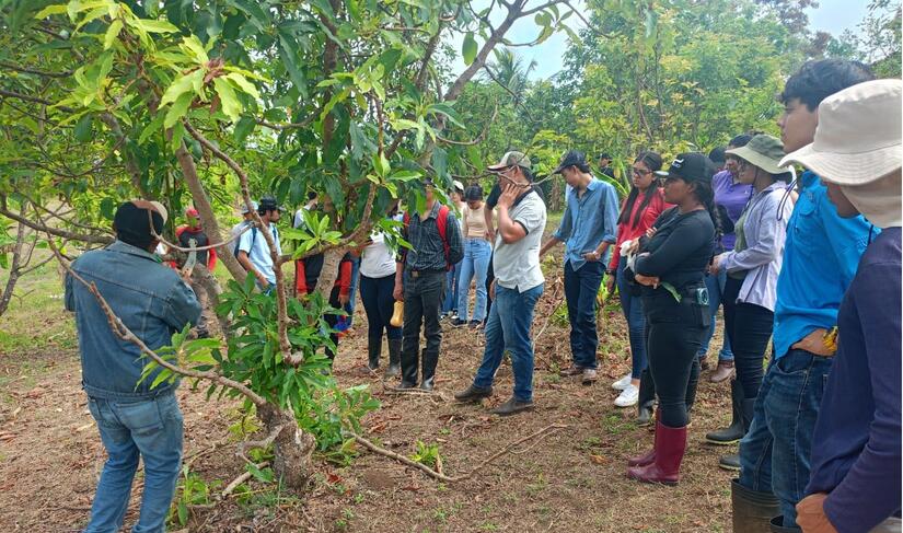Centro Universitario Regional "Don Orlando" continúa desarrollando capacidades e impulsando la investigación