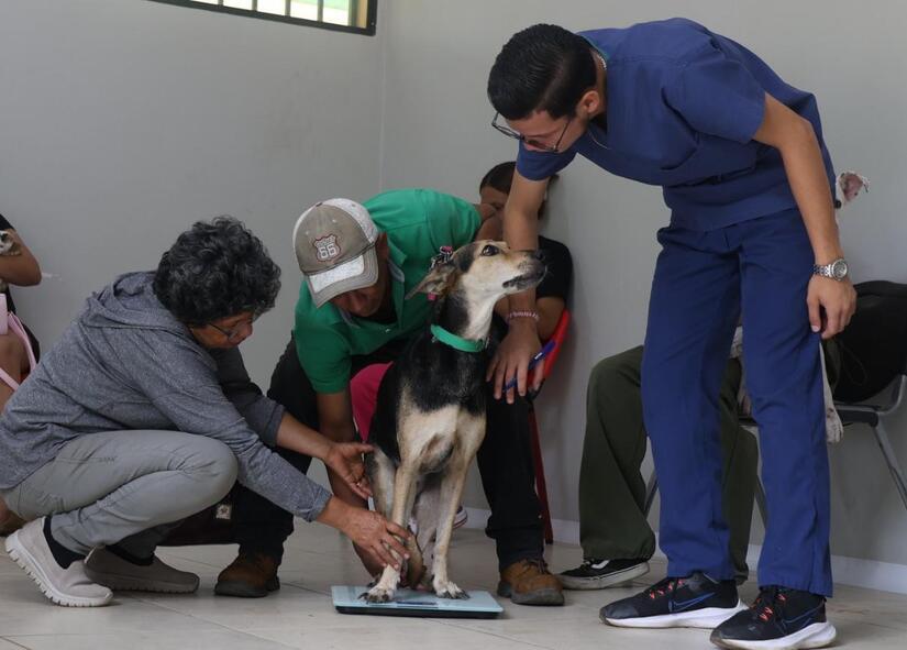 Veterinario UNA ha brindado más de 2 mil 800 consultas