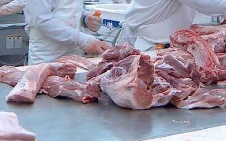 MAG registra una producción nacional de 7.7 millones de libras de carne de cerdo en el primer trimestre de 2025