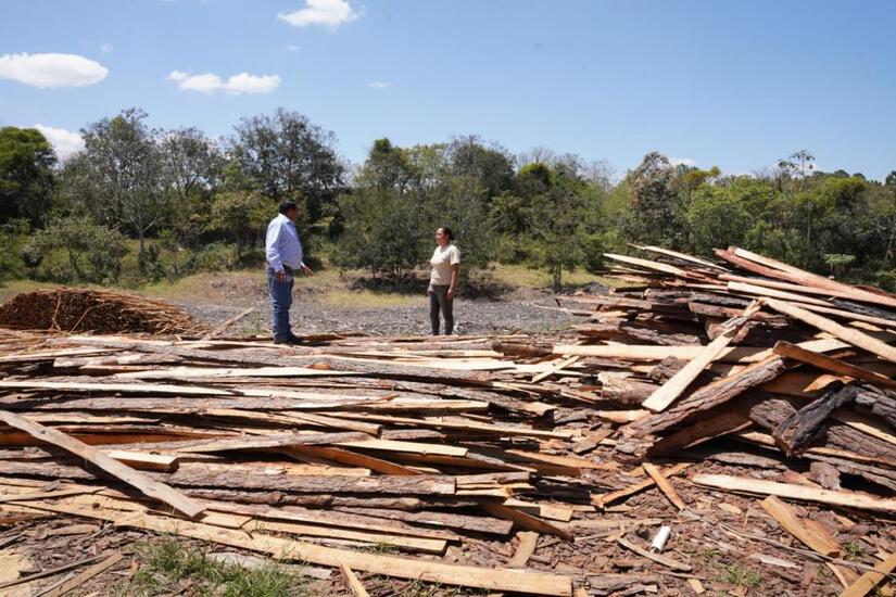 Aserradero Hanniel aprovecha de manera sostenible los bosques de Ocotal