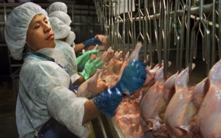 INIDE: Ocupación laboral en Nicaragua en ascenso según encuesta mensual de mayo