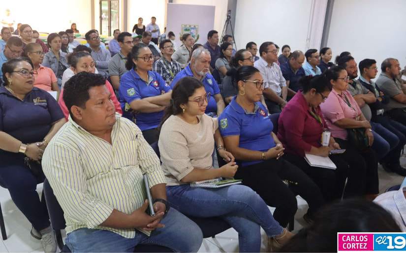 Docentes de la UNA disponen de App para registro de asistencia