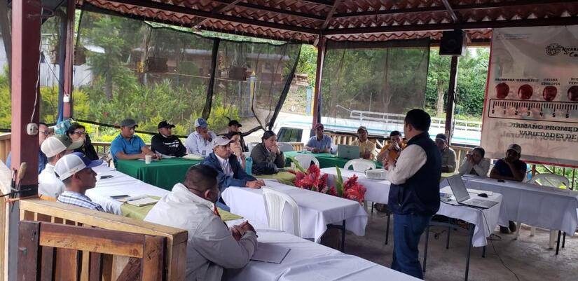 Caficultura nicaragüense con cursos de productividad e innovación