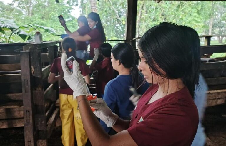 Universidad en el Campo: Educación superior al alcance de todos