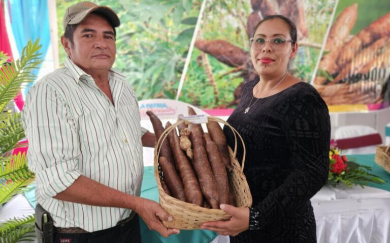 INTA desarrolla Congreso sobre Producción y Agregación de Valor en Yuca