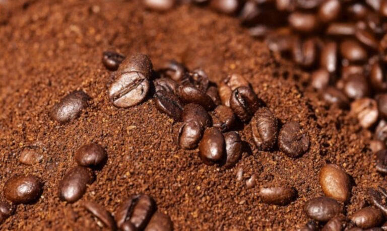 Incrementan las producciones de café hondureño