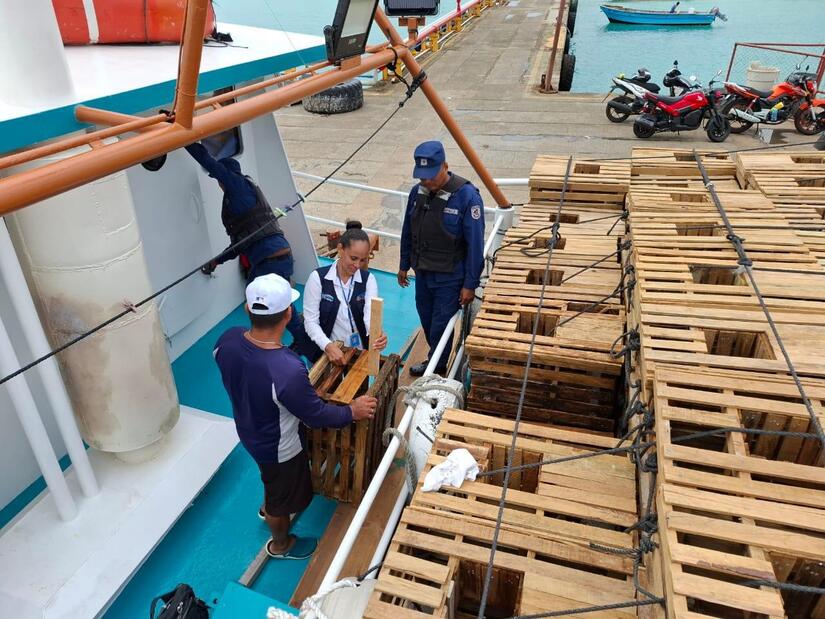 Inpesca realiza inspecciones en el muelle municipal de Corn Island, Región Autónoma de la Costa Caribe Sur (RACCS).