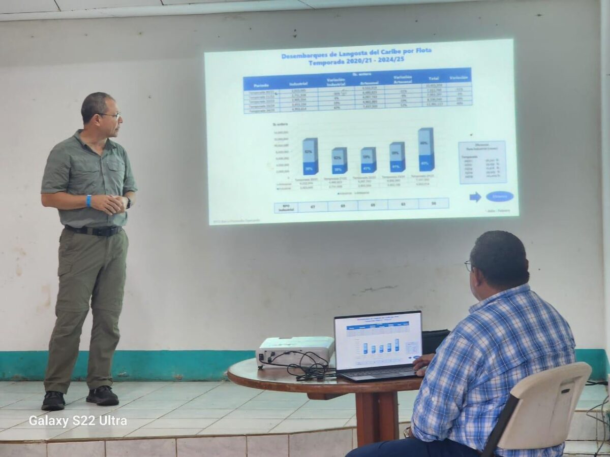 Langosta próximamente en temporada de captura