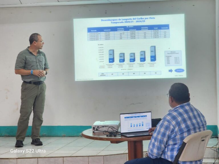 Autoridades de Nicaragua garantizan inicio seguro y ordenado de Temporada de Langosta