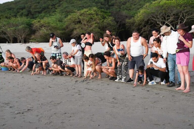 Marena impulsa acciones para la conservación de las tortugas marinas