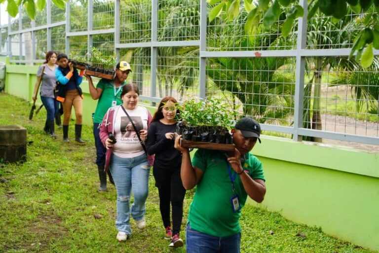 Marena desarrolla Jornadas de Reforestación en diversos departamentos del país