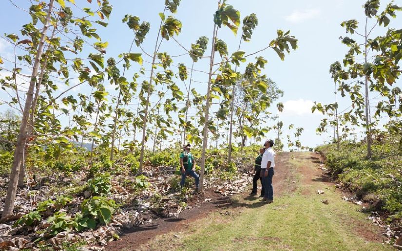 MARENA realizó una visita de seguimiento a la empresa forestal