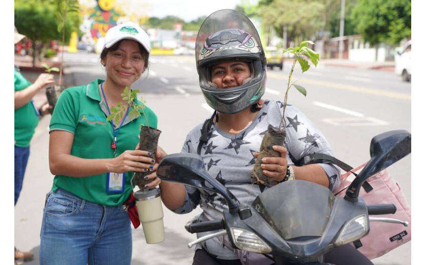 Marena regala plantas forestales a familias en ocasión del Día Nacional de Árbol