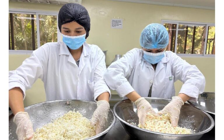 Más emprendedores capacitados en el procesamiento de quesos