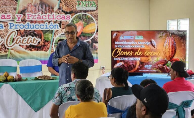 Productores de cacao fortalecen técnicas de cultivo con el INTA