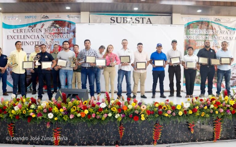 Nicaragua alcanza precios de 88.20 dólares por libra de café