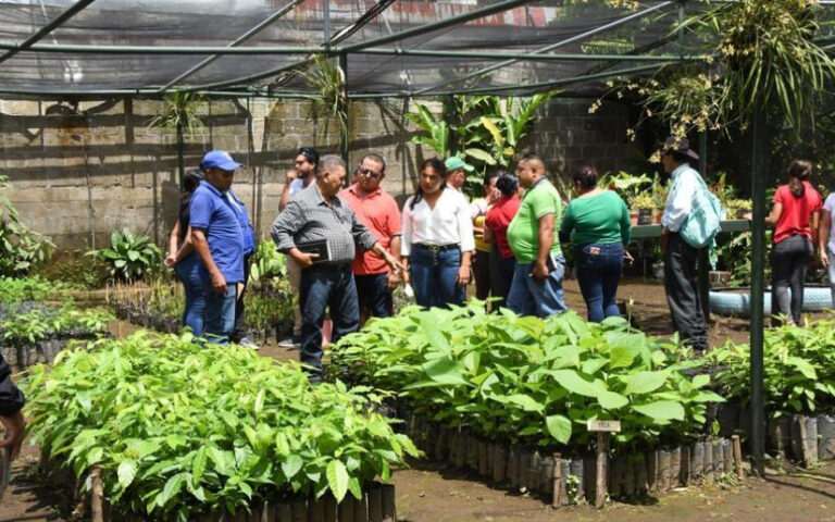 Nuevo vivero en Chinandega se suma al compromiso del Gobierno Sandinista por el medio ambiente