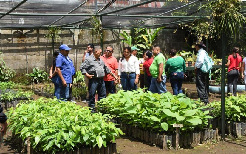 Nuevo vivero en Chinandega se suma al compromiso del Gobierno Sandinista por el medio ambiente