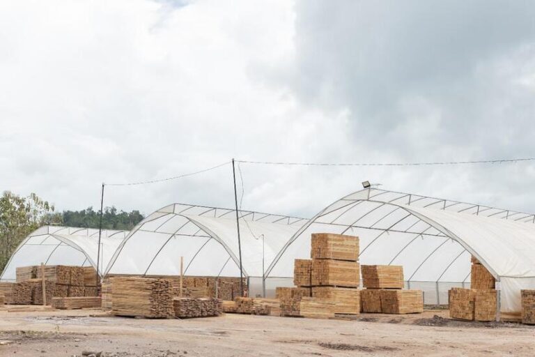 Sector forestal aporta 200 millones de córdobas a la economía de Nicaragua