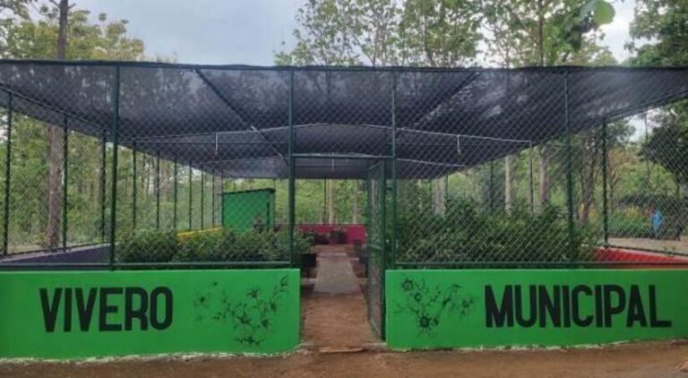 Gobierno Sandinista mejora viveros del pueblo en municipios de Nicaragua