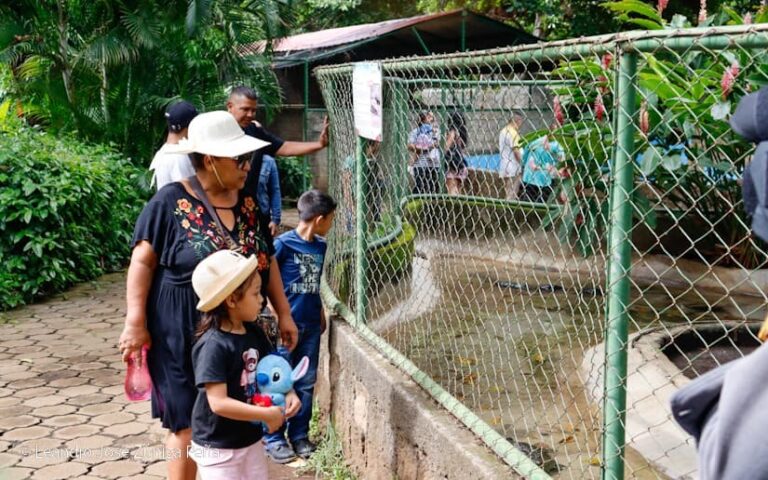 Familias disfrutan del Zoológico Nacional