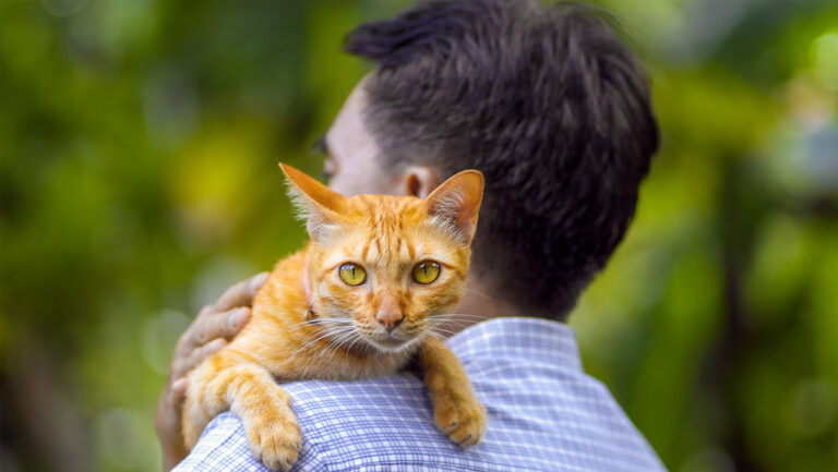 Anciano dispuesto entregar su herencia a quien le cuide su gata luego que muera