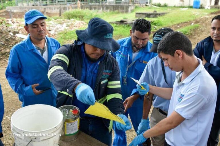 Colocan trampas en fincas afectadas por gusano barrenador