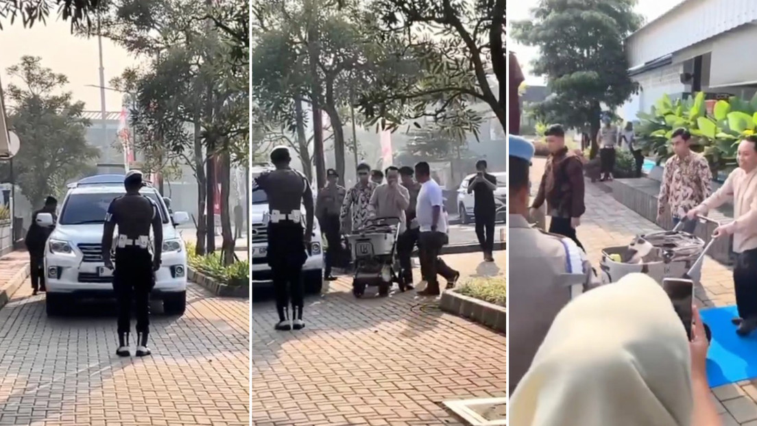 Gato presidencial viaja con escolta policial