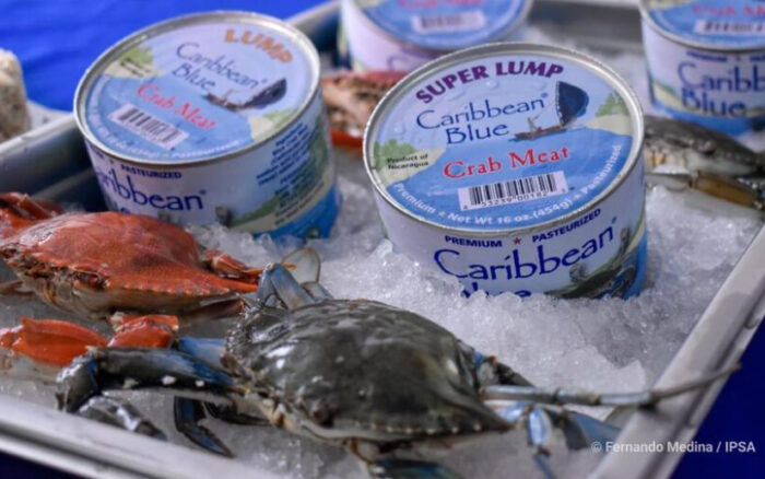 INPESCA inspecciona centros de acopio de jaiba azul en Laguna de Perlas