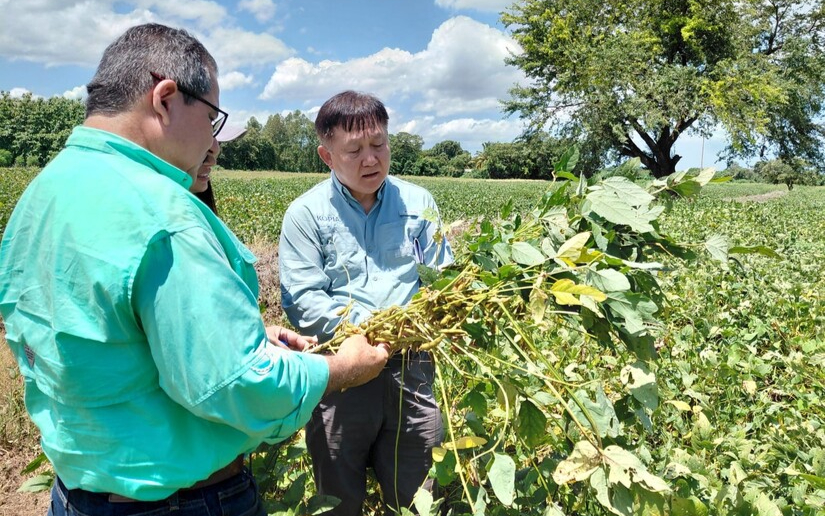 INTA presenta a productores variedad de soya