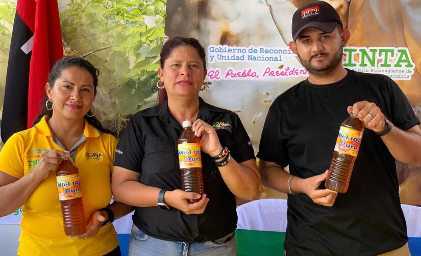 INTA efectúa curso sobre manejo tecnificado de apiarios