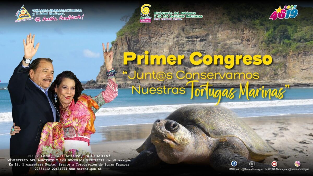 Marena desarrolla Primer Congreso “Junt@s Conservamos Nuestras Tortugas Marinas” 1