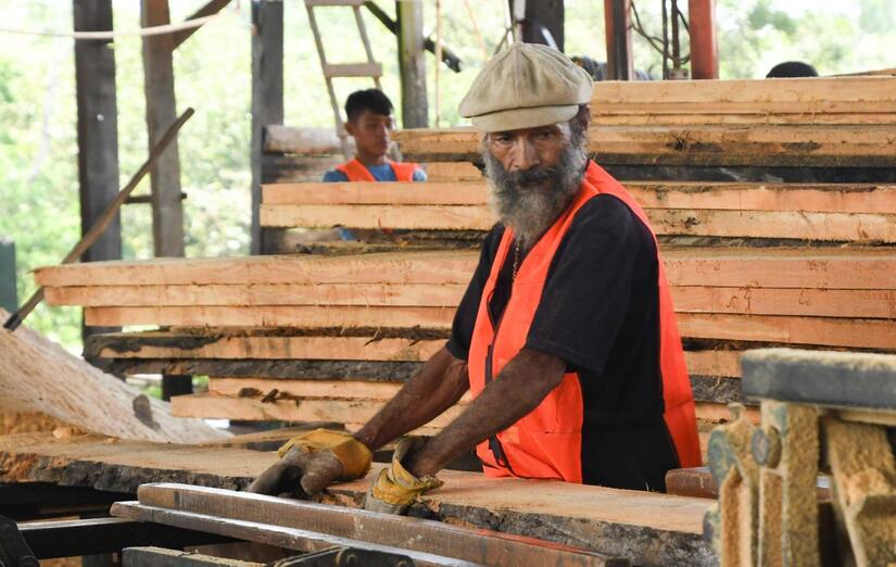 MARENA, informa que, del 01 de Enero al 30 de Junio de 2025, atendió en el Sistema de Evaluación Ambiental (SEAN).